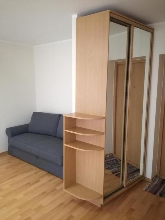 Апартаменты Apartment for rent Друскининкай